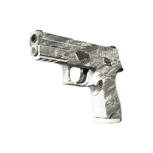 P250 | Sleet (Factory New) - Save 38% | BUFF Market
